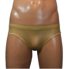 Translucent briefs